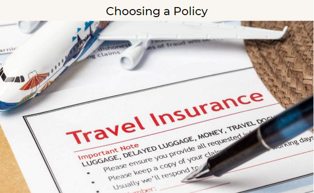 Choosing a Policy - Best 7 things of domestic travel insurance policies in Vietnam